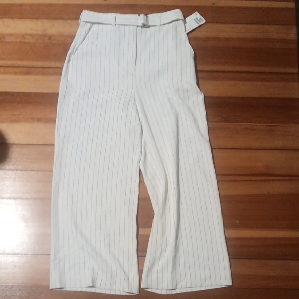 NWT H&M Pinstripe Wide Leg Pants
